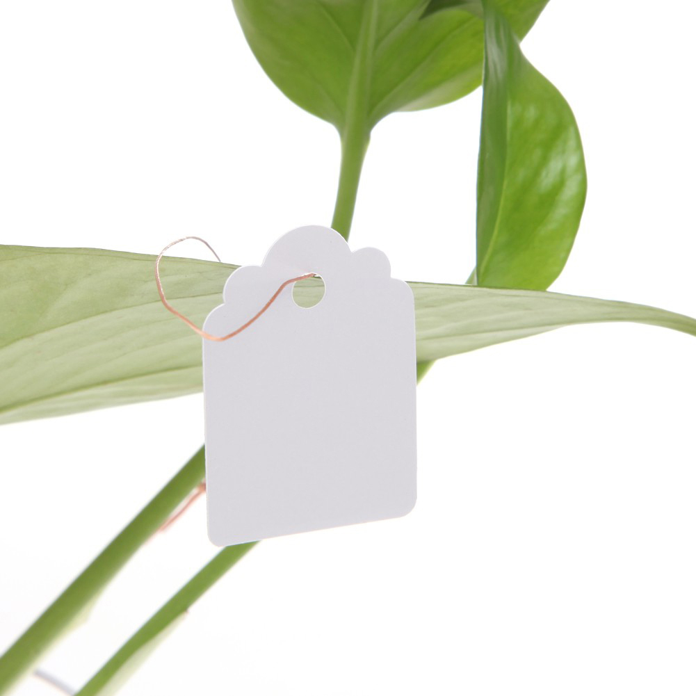 Set 100 thẻ tag ghi tên đánh dấu cây trồng bằng nhựa chống thấm nước 3.6x2.5cm
