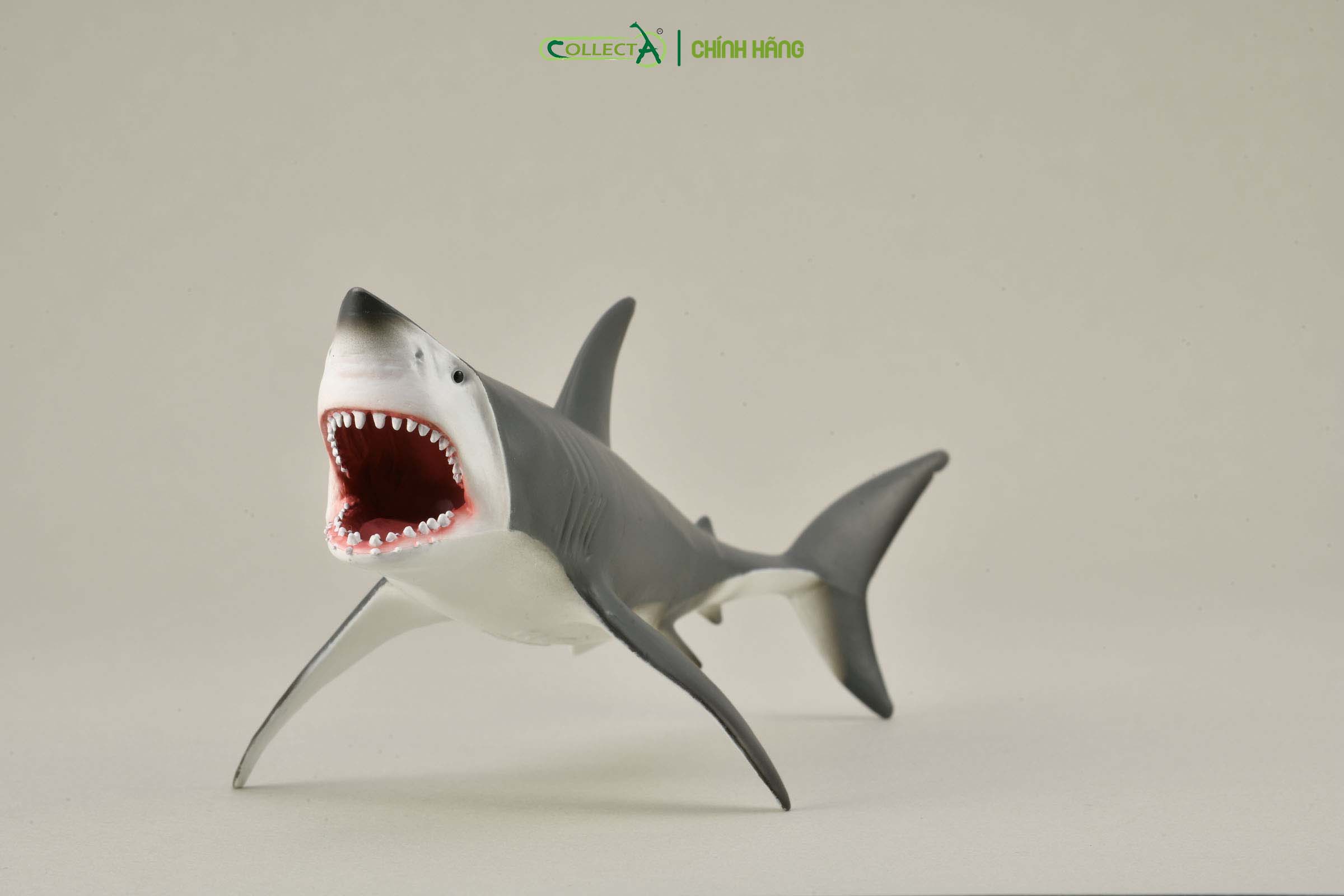 Mô hình thu nhỏ: Cá Mập Trắng - Great White Shark - Open Jaw, hiệu: CollectA, mã HS 9652080[88729] -  Chất liệu an toàn cho trẻ - Hàng chính hãng