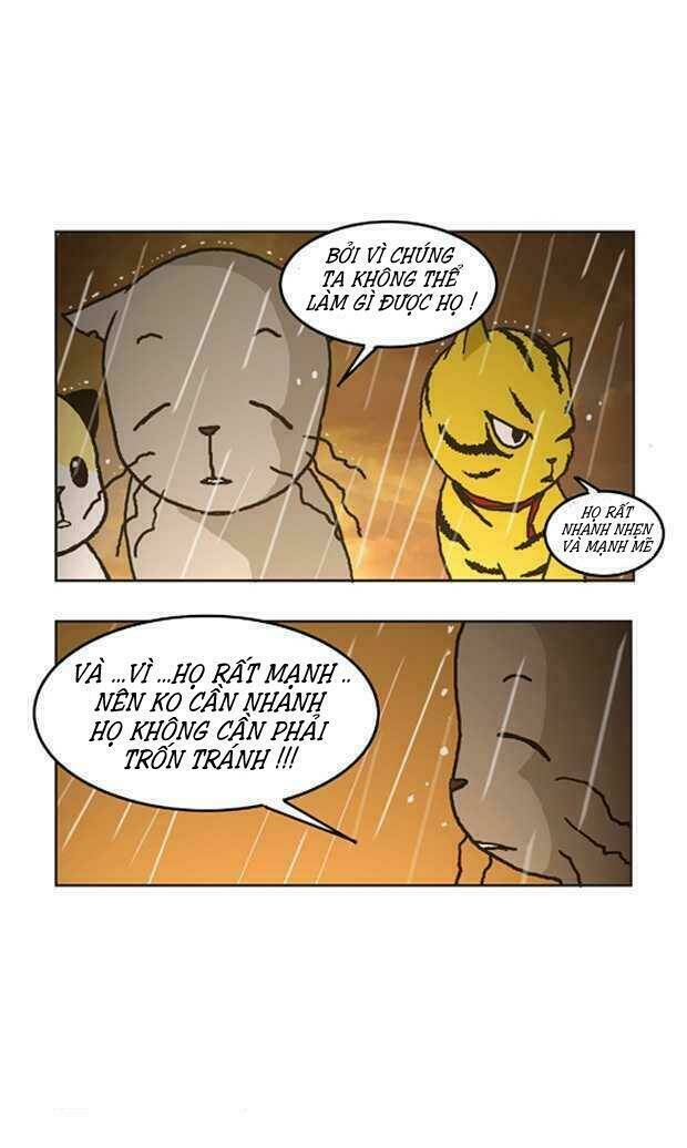 papi nyang chapter 2 14