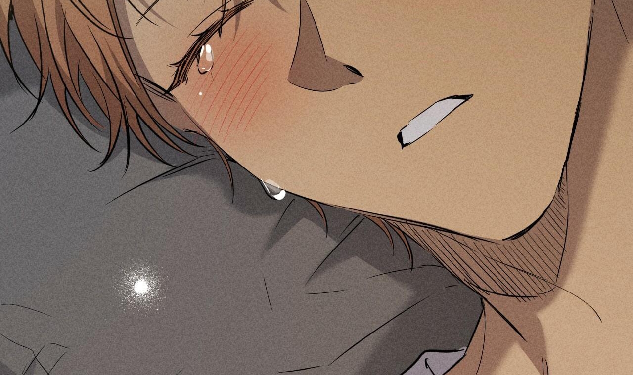 đàn thỏ của habibi chapter 55 157