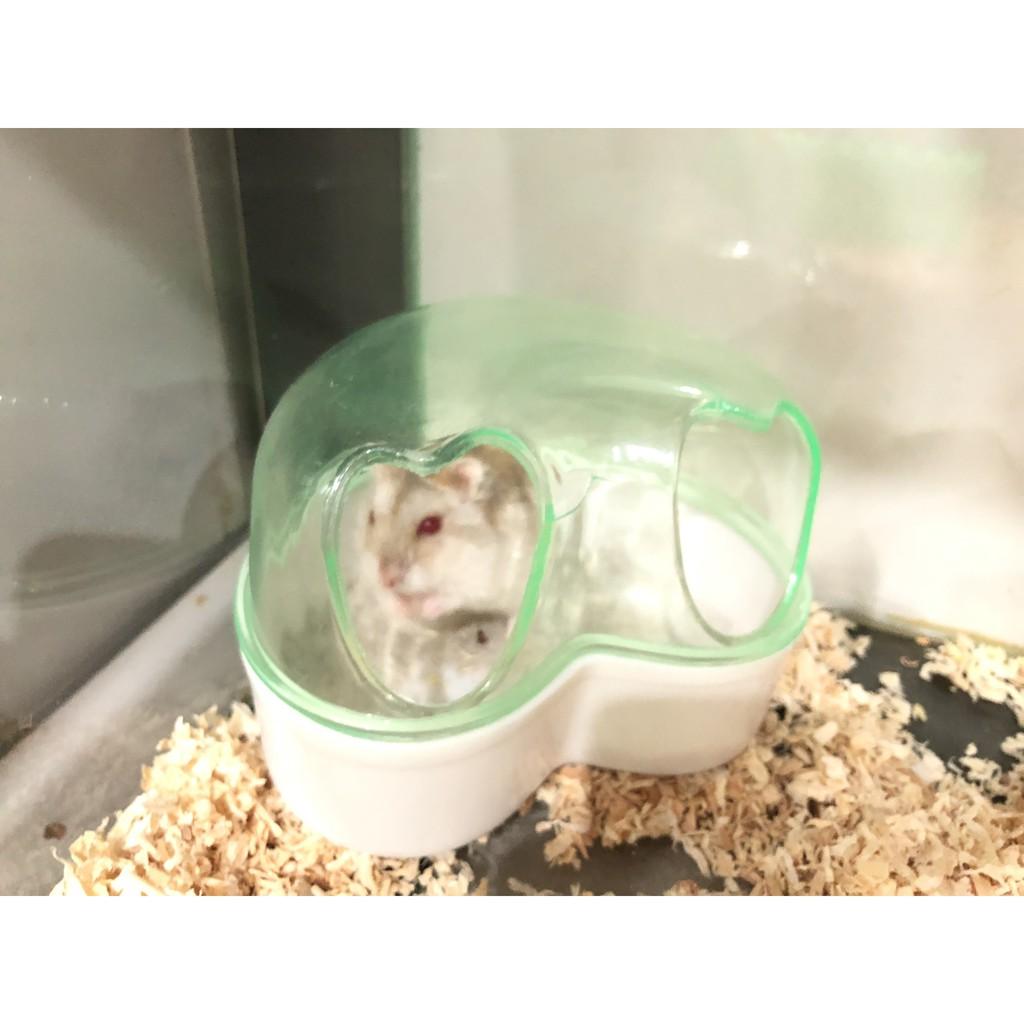 Cát tắm dành cho Hamster giúp pet luôn sạch sẽ thơm tho mà không cần dùng tới nước