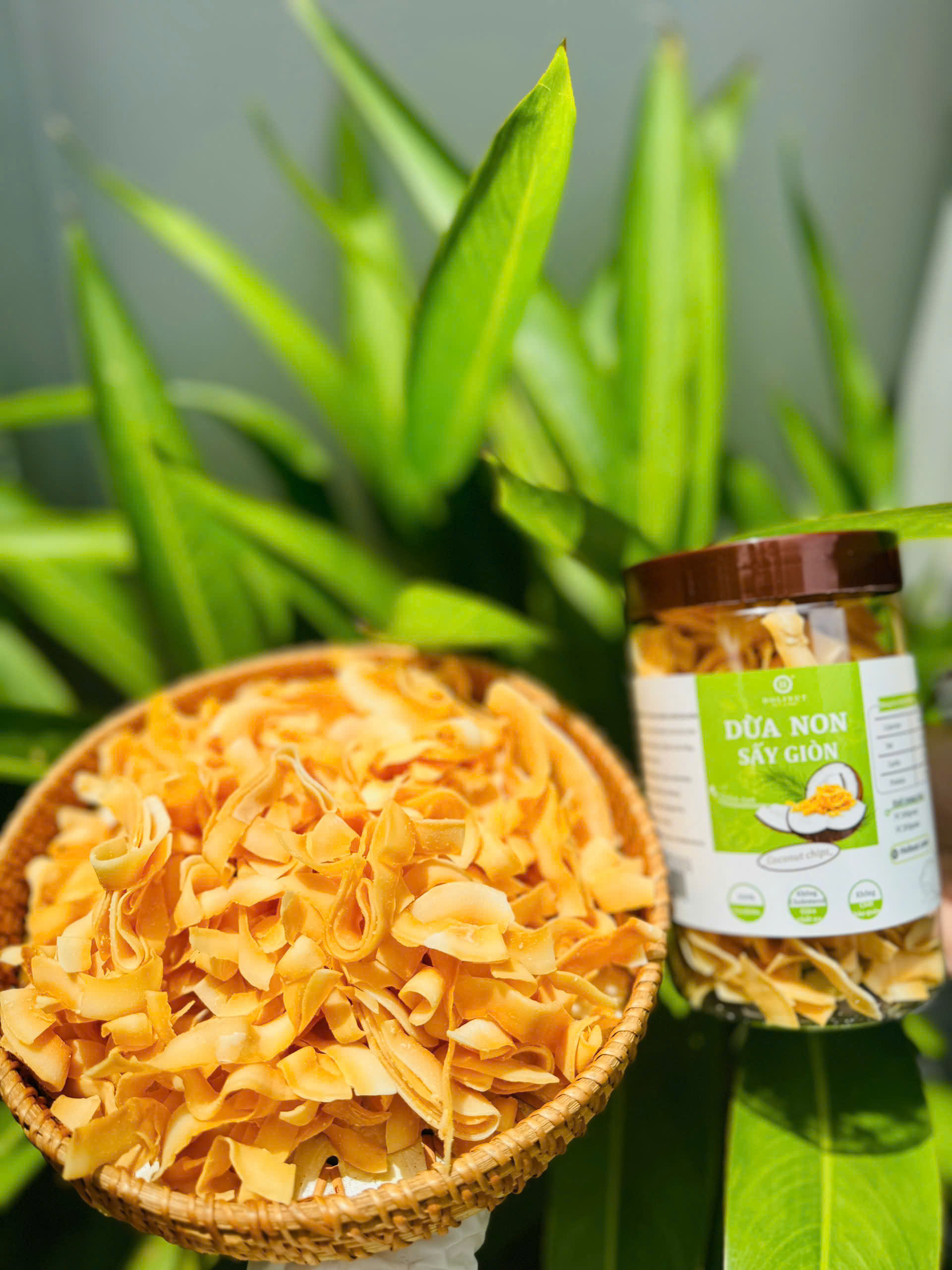 DỪA NON SẤY GIÒN - Coconut chips/ Thương hiệu HOLINUT