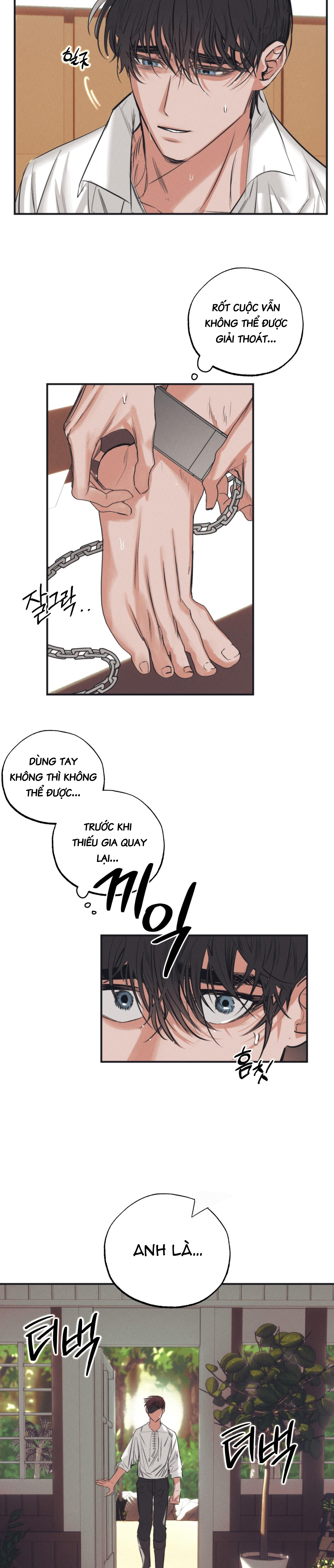 vườn địa đàng của esther chapter 4 5