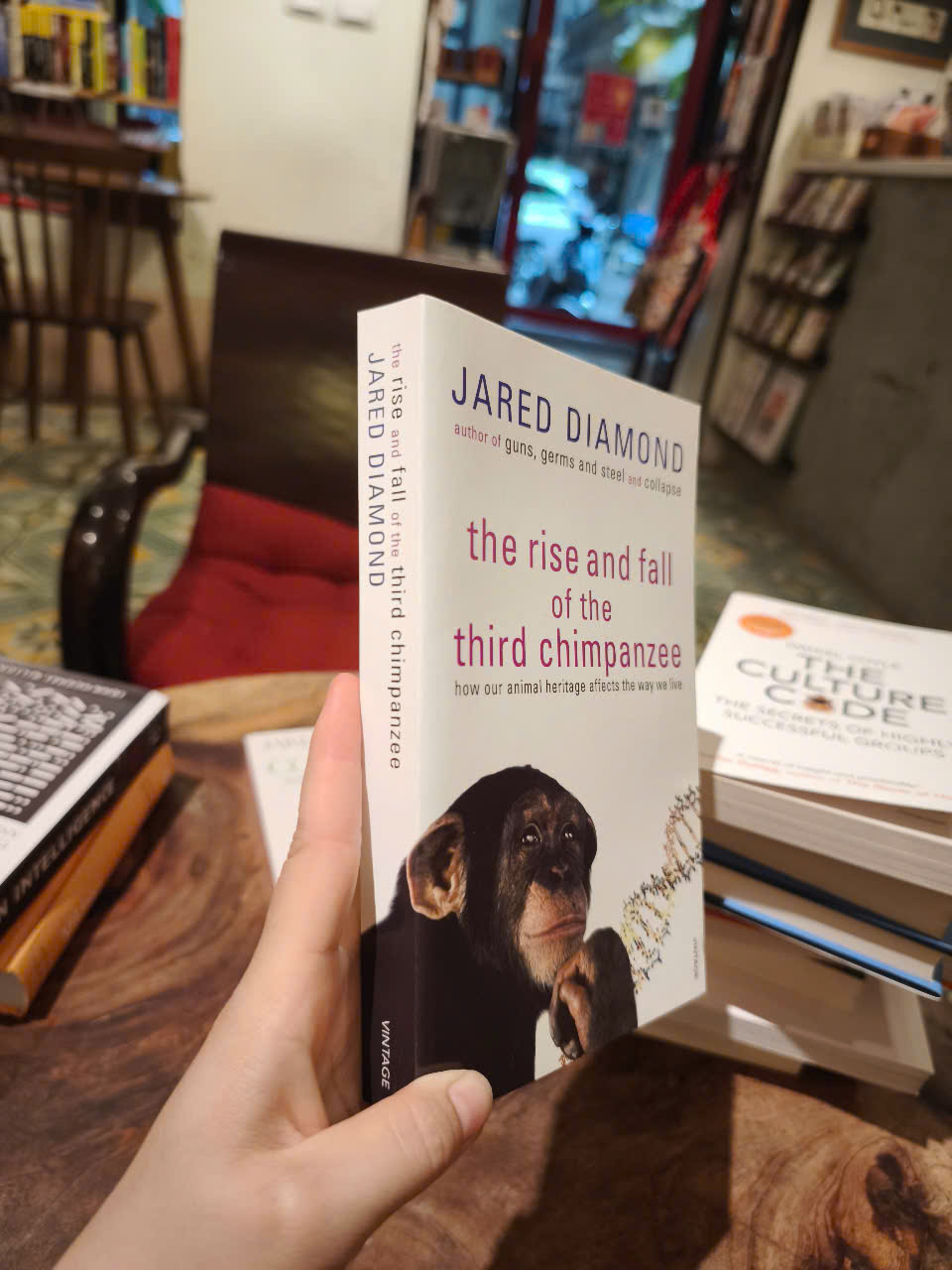 Sách - The Rise and Fall of the Third Chimpanzee by Jared Diamond - Science/ Nonfiction in English