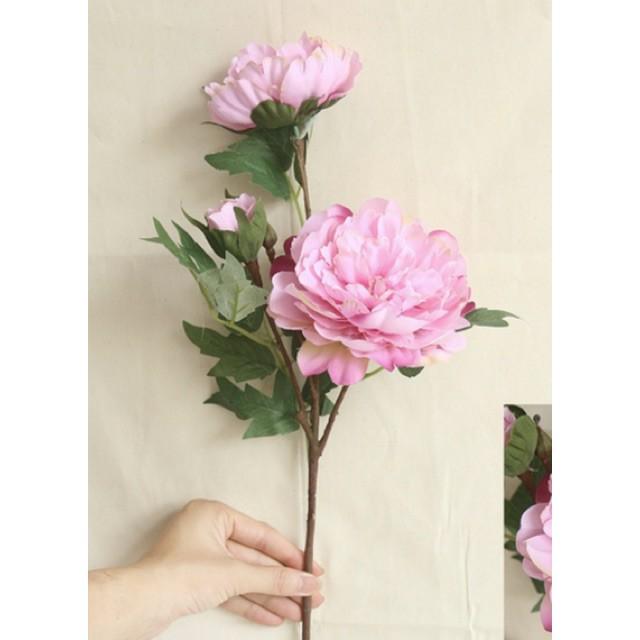 Cành hoa mẫu đơn lụa 3 bông xinh xắn decor chụp ảnh