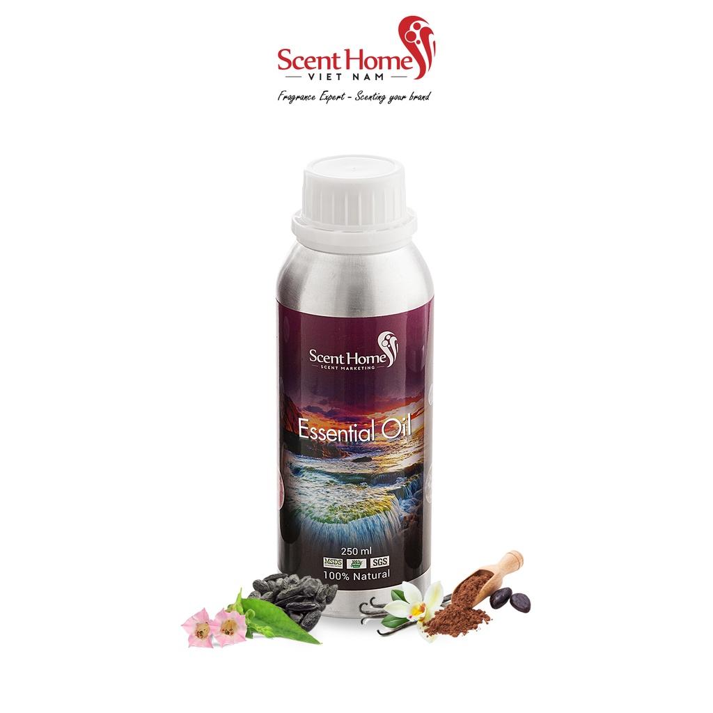 Tinh dầu Scent Homes - mùi hương