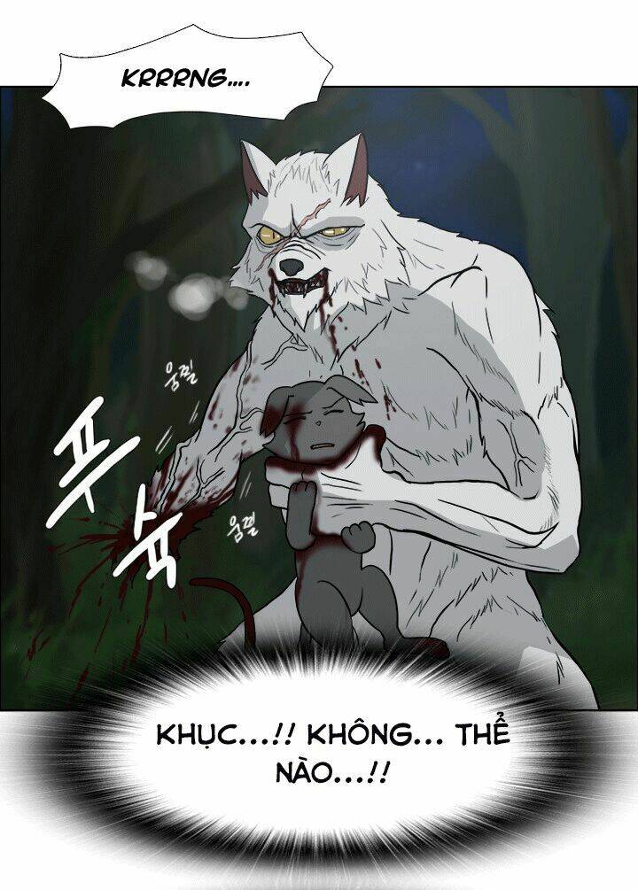 m. m. g. chapter 11 26