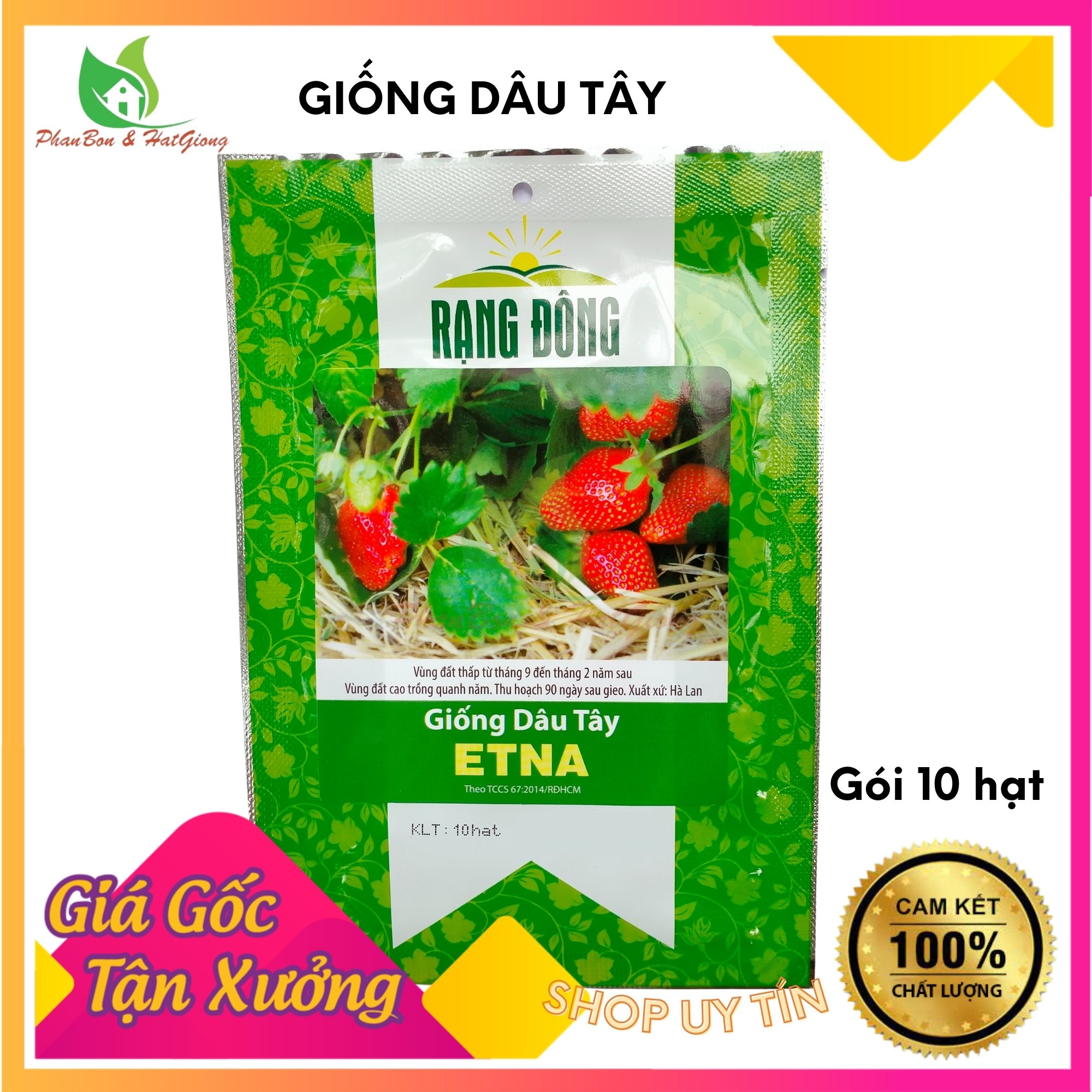 Hạt Giống Dâu Tây Đỏ Rạng Đông Siêu Trái, Thơm Ngọt - Shop Phân Bón và Hạt Giống