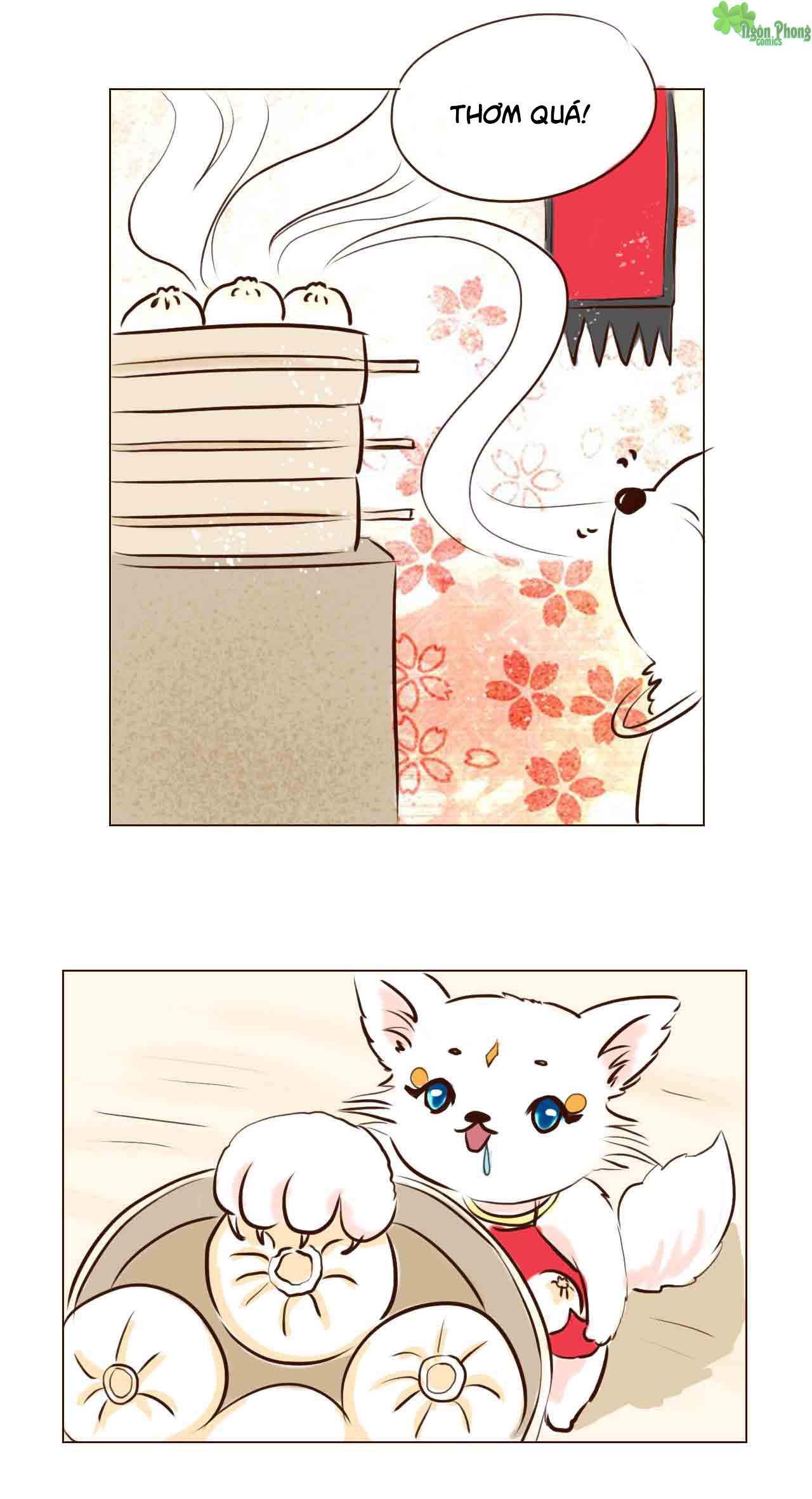 mẫu phi đuôi của người lộ ra rồi kìa chapter 2 8