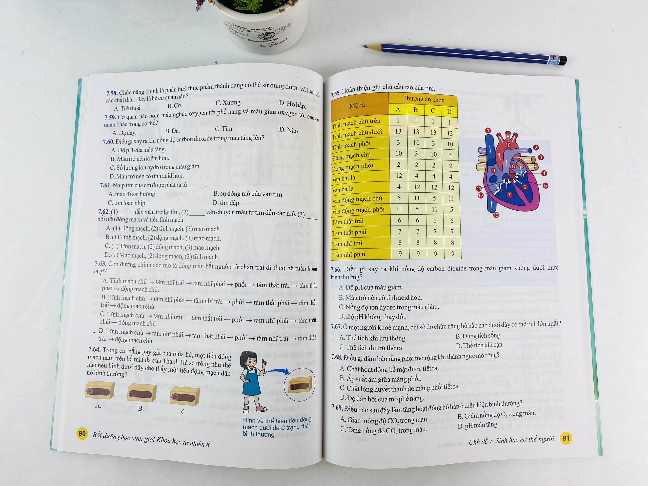 Sách - Bồi Dưỡng Học Sinh Giỏi Khoa Học Tự Nhiên 8 - Biên soạn theo chương trình GDPT mới - ndbooks