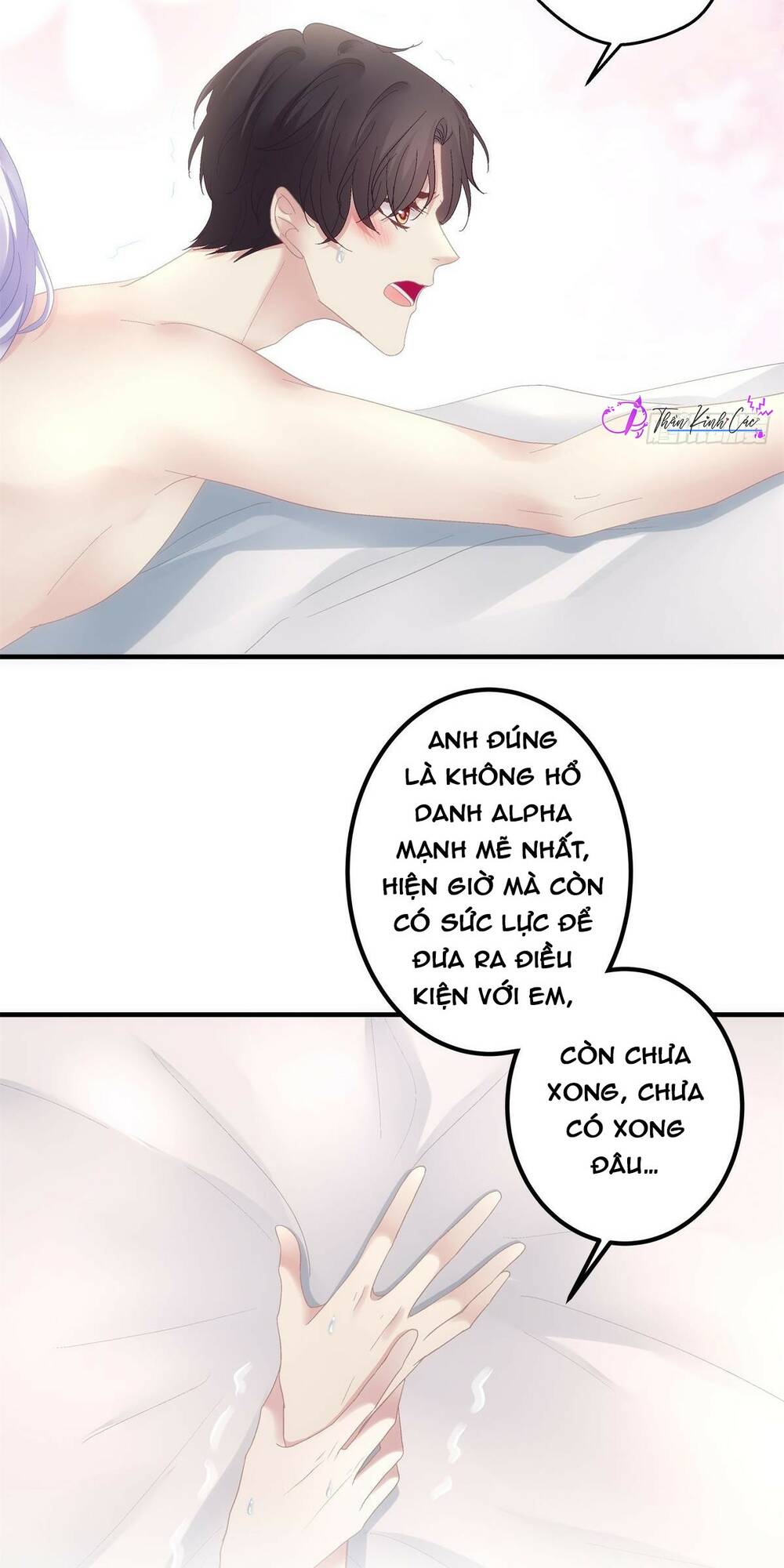 toàn bộ nắm trong tay chapter 141 7