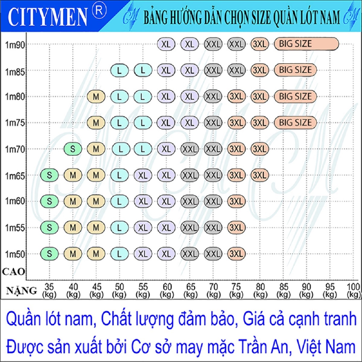 Quần lót nam CITYMEN combo 5 cái lưng dệt cotton 100% cao cấp thấm hút tốt co dãn mềm mại thoáng khí, quần xịp sịp nam - Giao màu ngẫu nhiên