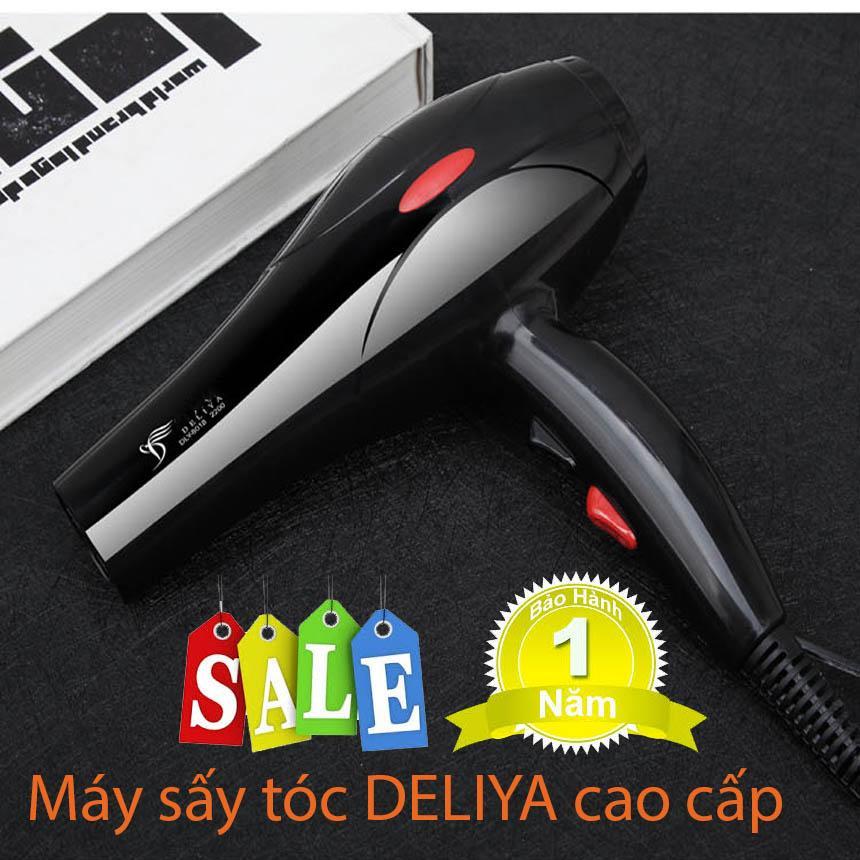 Máy Sấy Tóc 2 Chiều Nóng Lạnh Công Suất Lớn DELYA, Máy sấy tóc 2 chiều, Máy Sấy Công Suất Lớn, sấy khô tóc mạnh mẽ