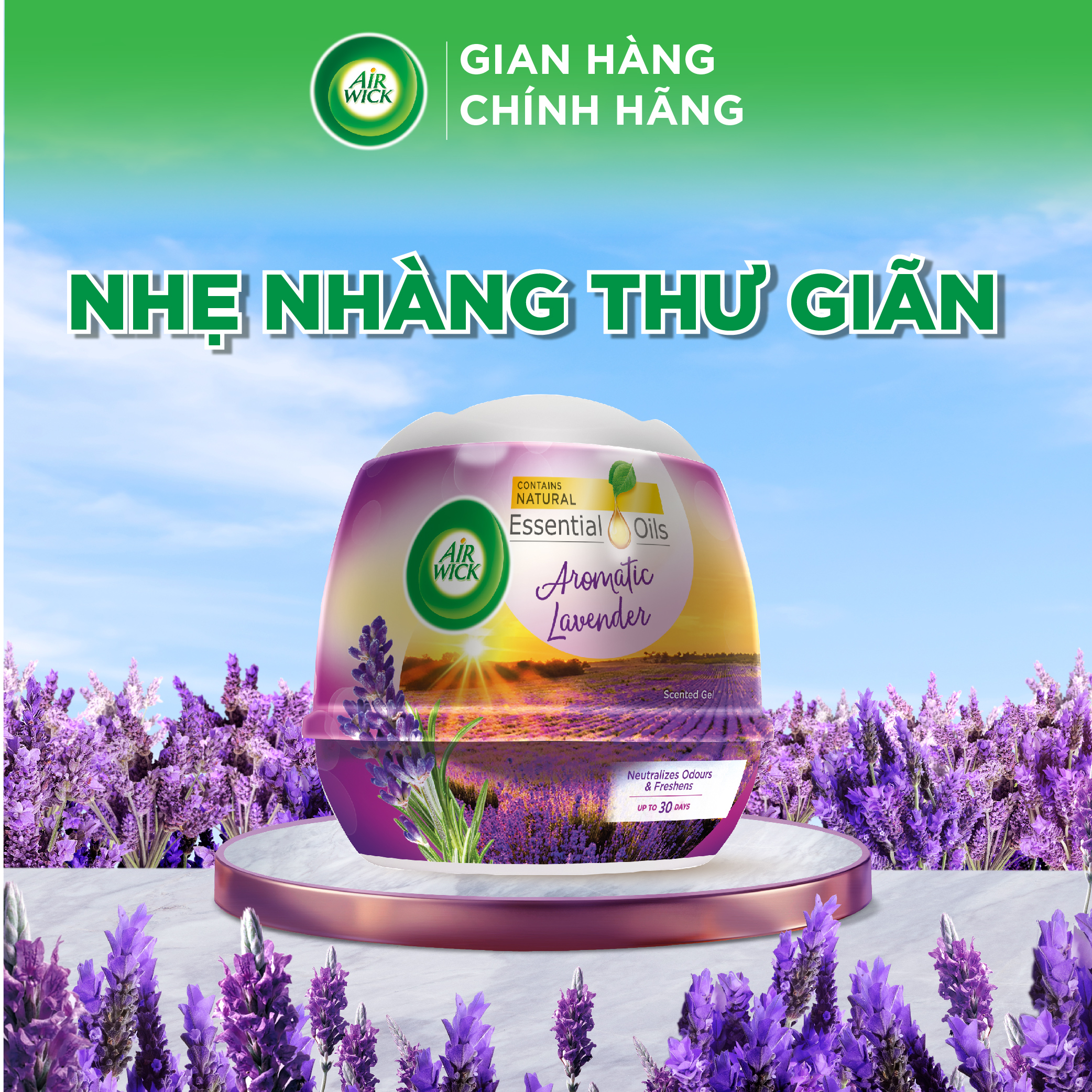 Thùng Sáp Thơm Phòng AIRWICK - 12 Hộp Hương Lavender, Anh Quốc, Hương Thơm Nhẹ Nhàng Phù Hợp Mọi Không Gian(180g)