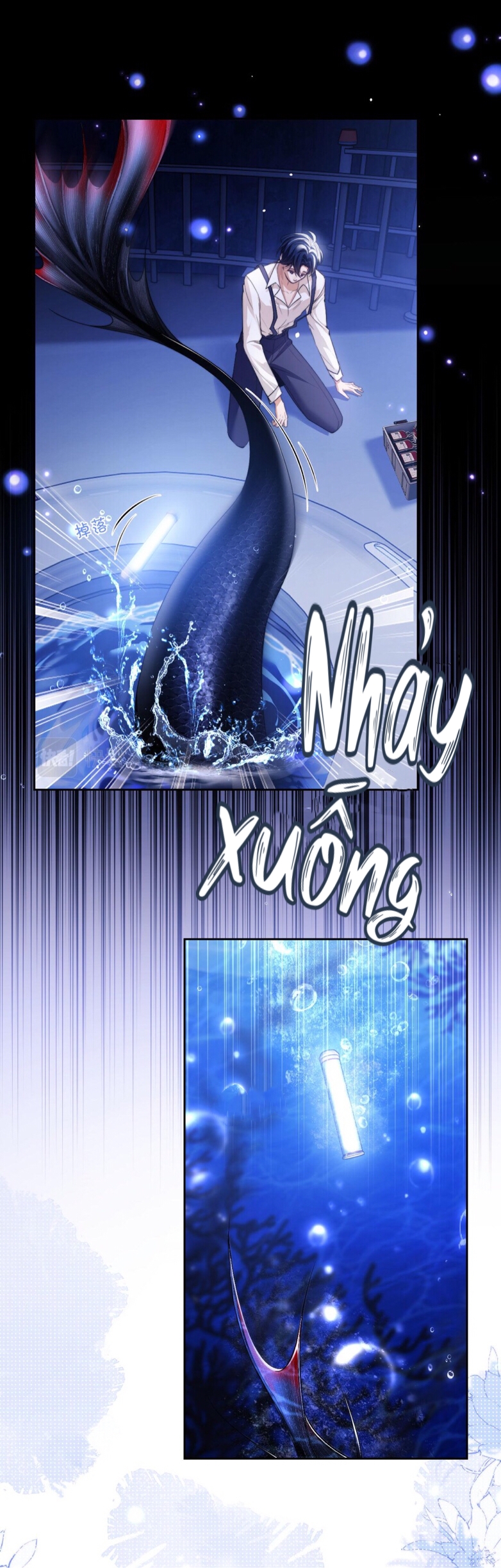 nhân ngư dessaro chapter 5 2