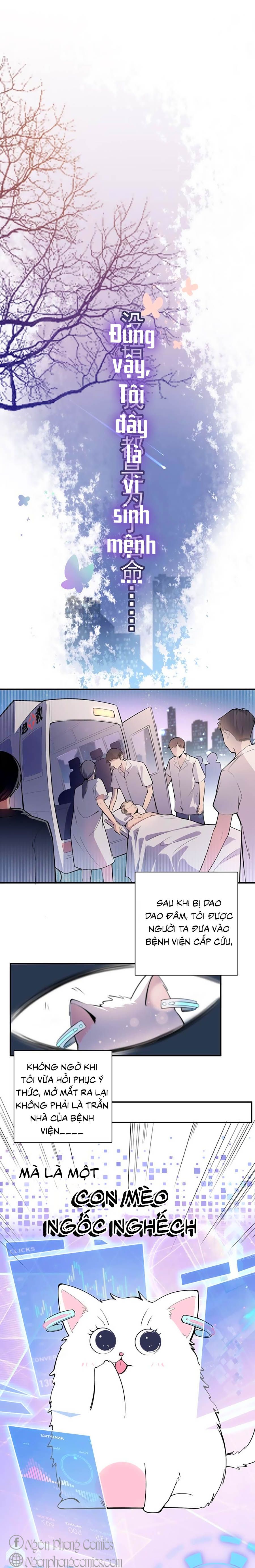 take me out chapter 5 1