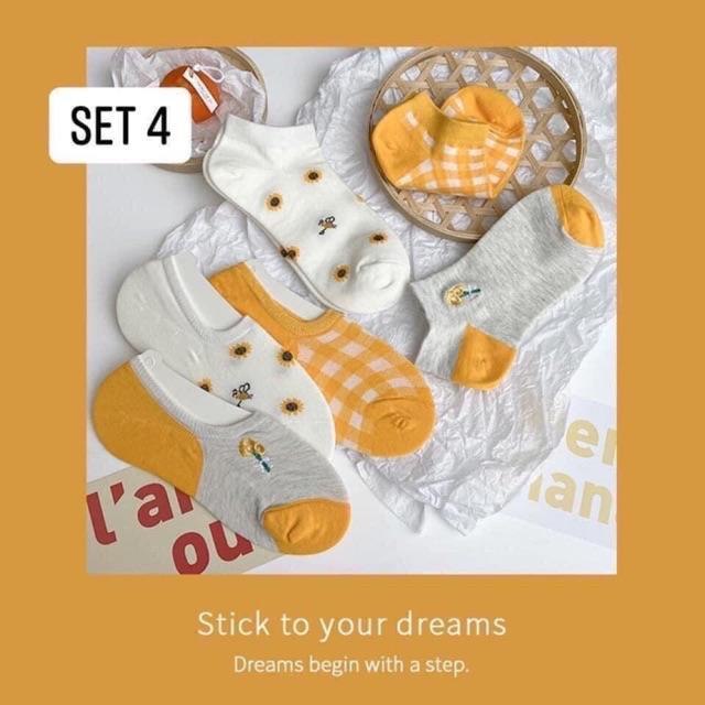 Set 5 đôi tất kháng khuẩn xuất Hàn