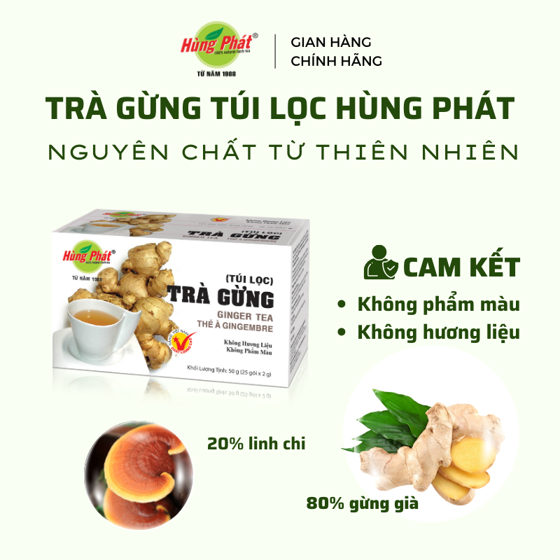 Trà Gừng Túi Lọc Tiện Lợi Làm Ấm Cơ Thể Hỗ Trợ Tiêu Hóa Hộp 25 Gói - Trà Hùng Phát