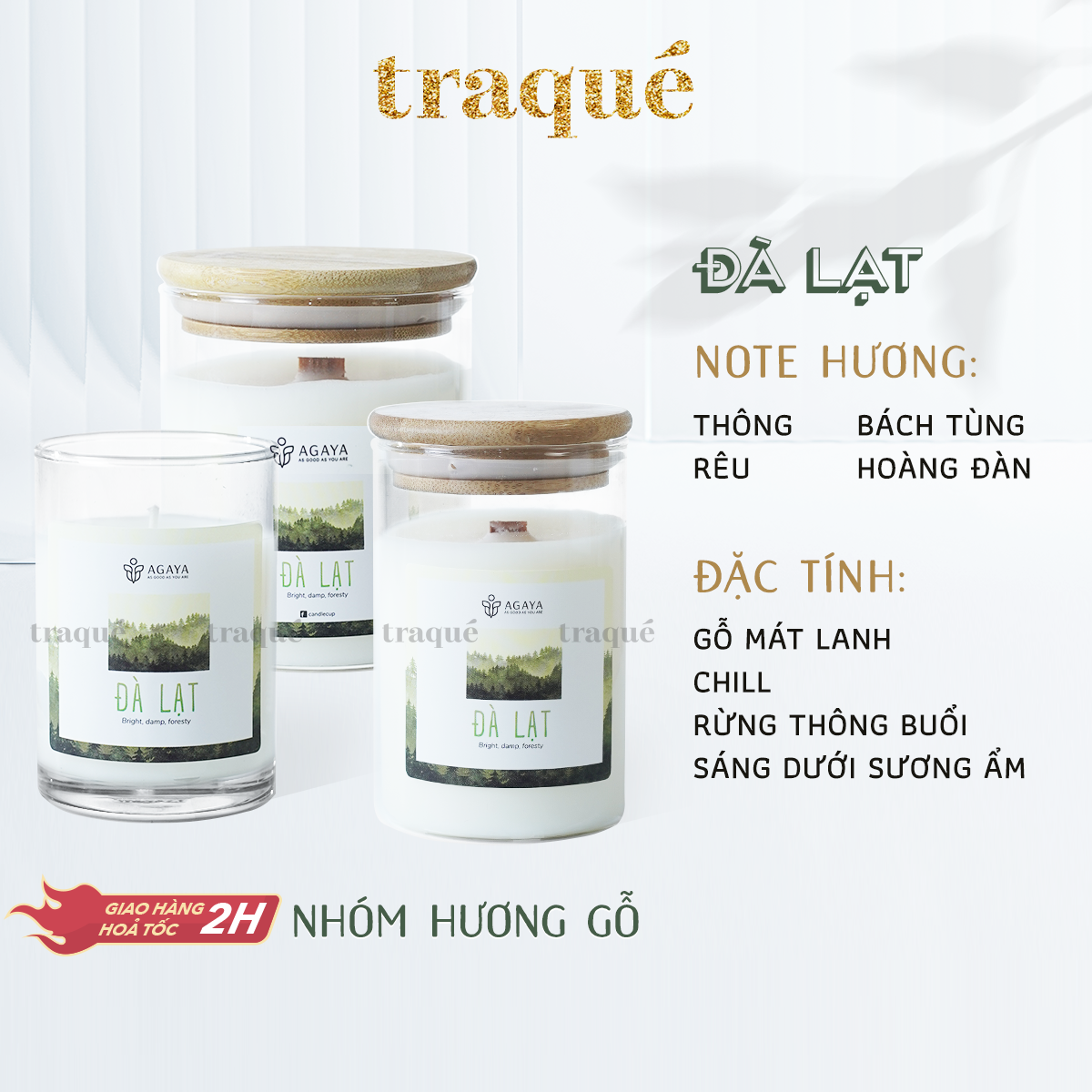 Nến thơm Candle Cup/Agaya - Hương Gỗ ĐÀ LẠT