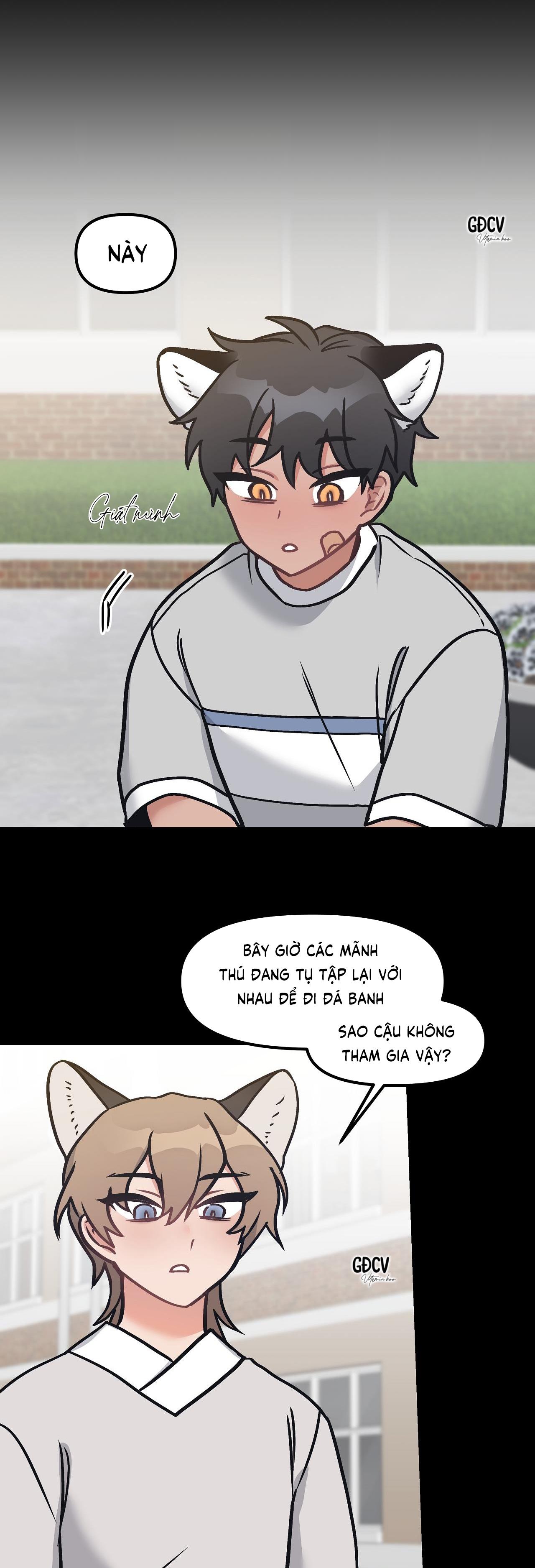 thưa ngài hổ, tôi đã ăn rất ngon miệng chapter 8 20