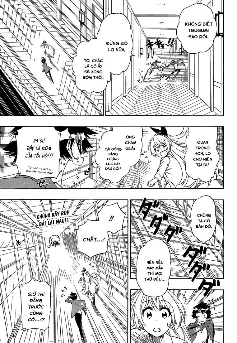 nisekoi - tình yêu giả tạo chapter 186 5