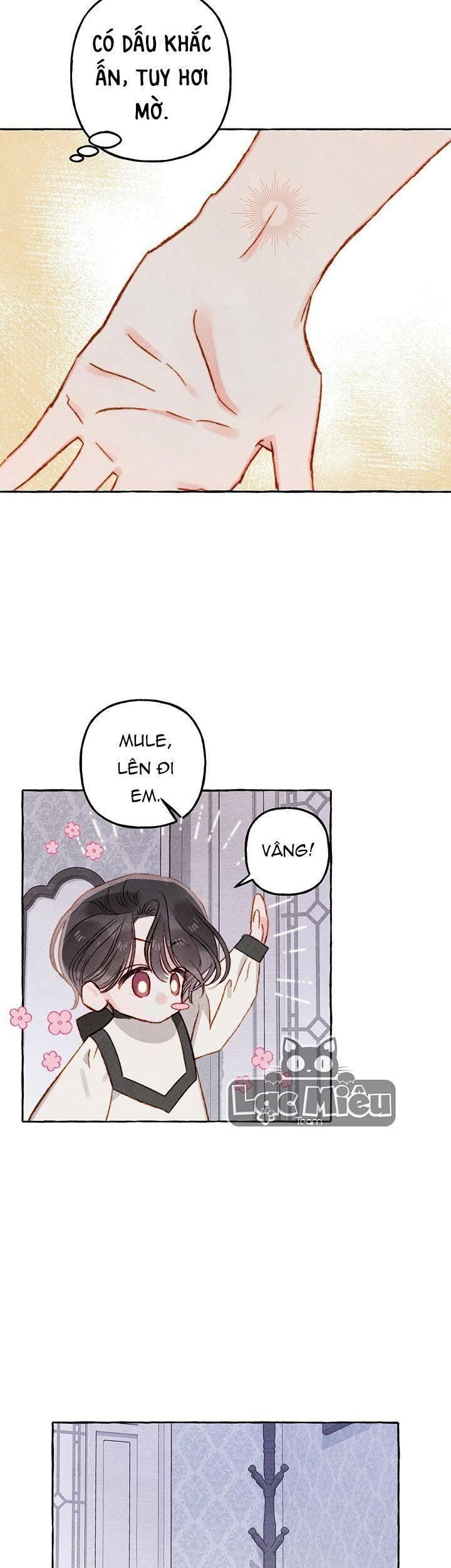 nuôi dưỡng một hắc long chapter 27 28