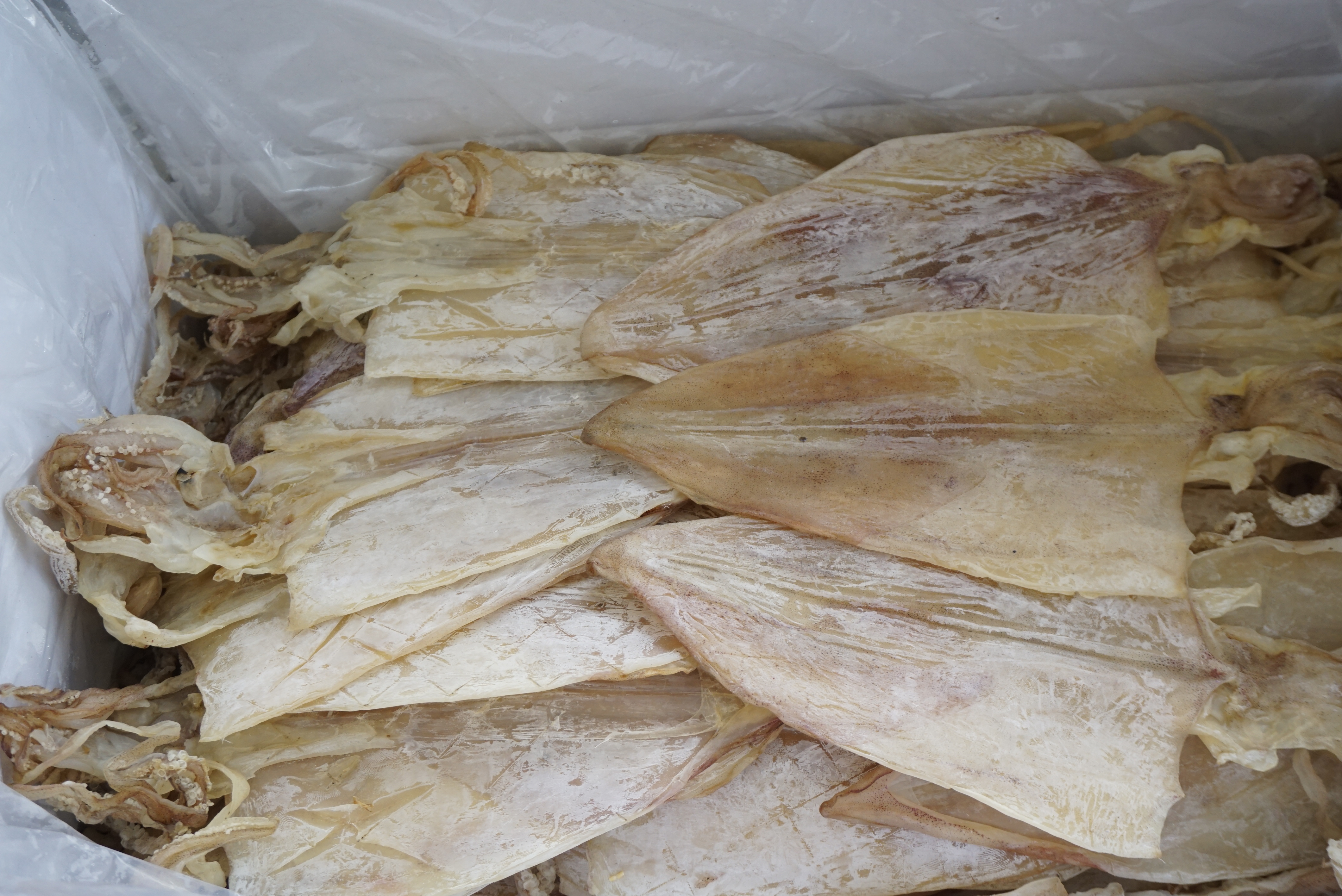 Đặc Sản Nha Trang - Mực Khô Câu Size 16 Con/Kg Seavy Gói 500G