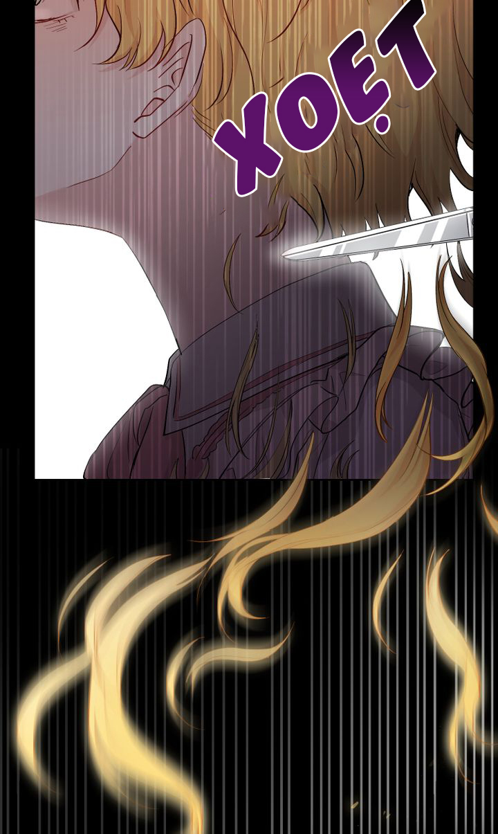 tìm lại nàng camellia chapter 0 19