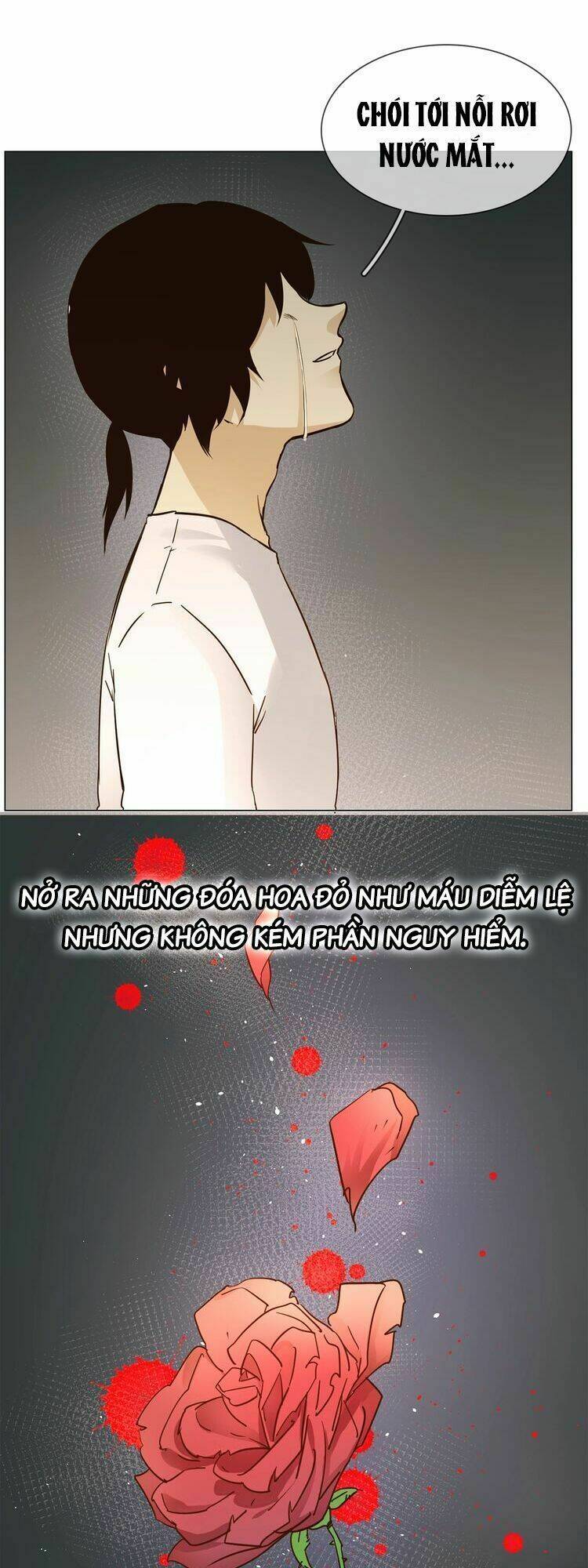 ngôi sao vụn vỡ chapter 20 47