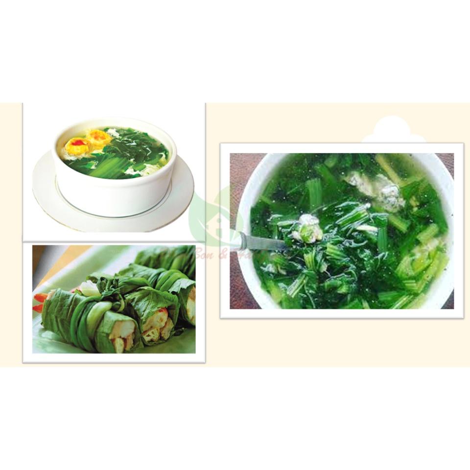 Hạt Giống Cải Bẹ Xanh Ăn Non Năng Suất Cao, Nhanh Thu Hoạch 20Gr - Phú Nông Seeds - Shop Phân Bón và Hạt Giống