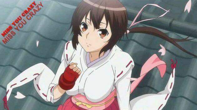 sekirei chapter 96 19