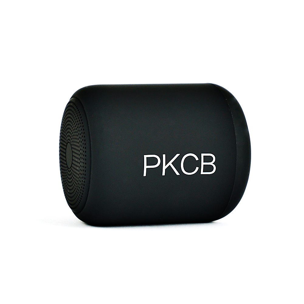 Loa bluetooth mini 5.0 chống nước IPX7, có đài FM, âm thanh nổi PKCB PF120SM - Hàng chính hãng