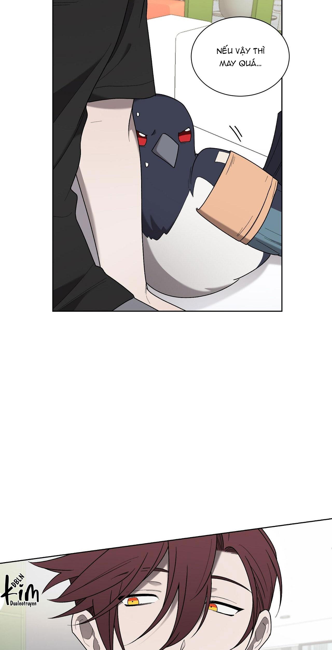 khi chim thước đến chapter 19 22