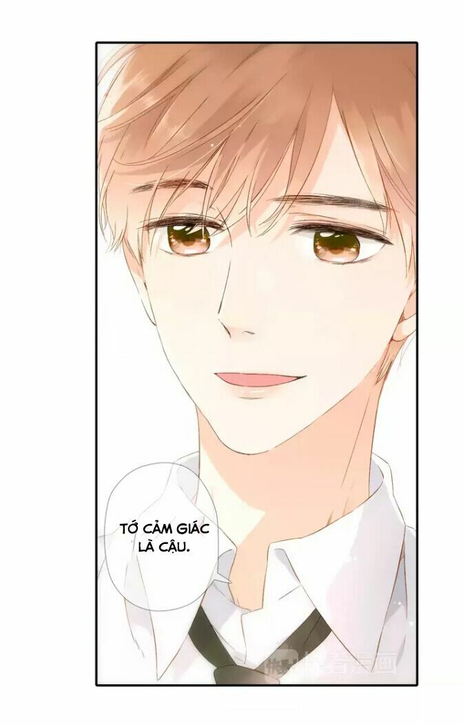 Tình yêu là màu hoa anh thảo chapter 26.2 29