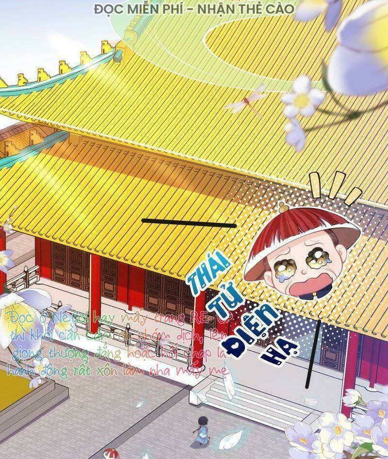 quận chúa vững vàng, thiết lập nhân vật không thể vỡ chapter 20 13