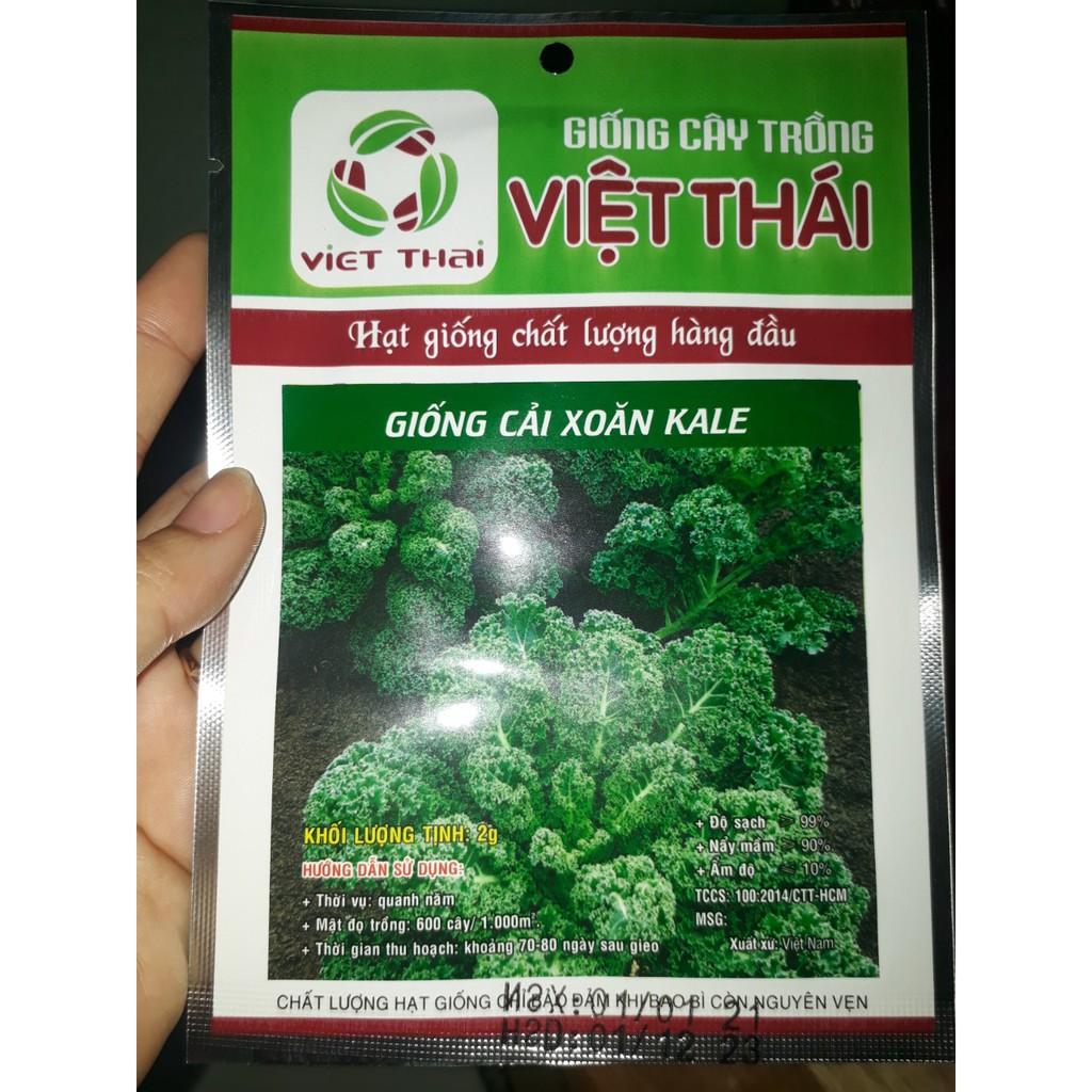 Hạt giống Cải xoăn KALE, đóng gói 2gr (khoảng 400 hạt)