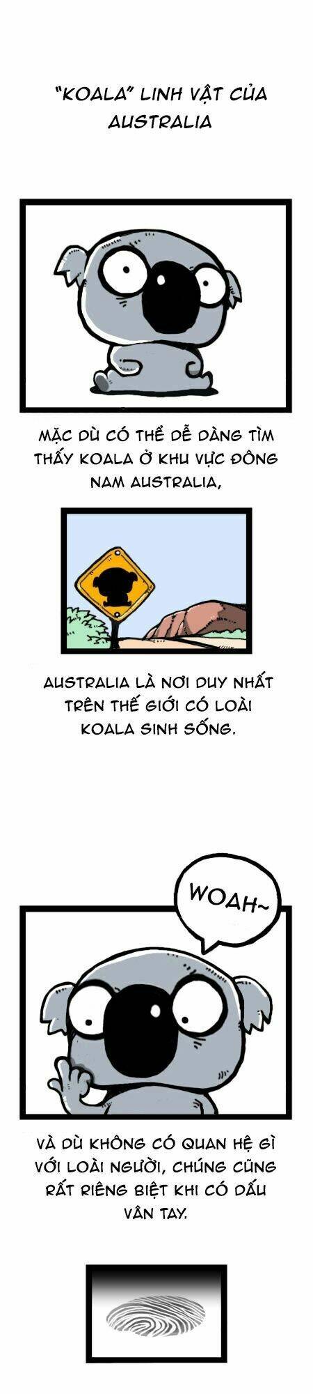 earth, human, and animal chapter 25 16