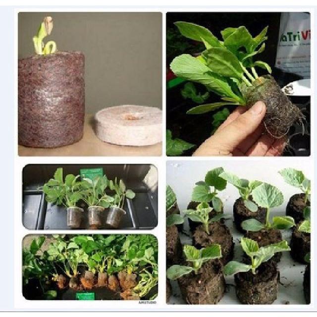 Bộ 50 viên nén sơ dừa ươm hạt giống ,ươm cây con