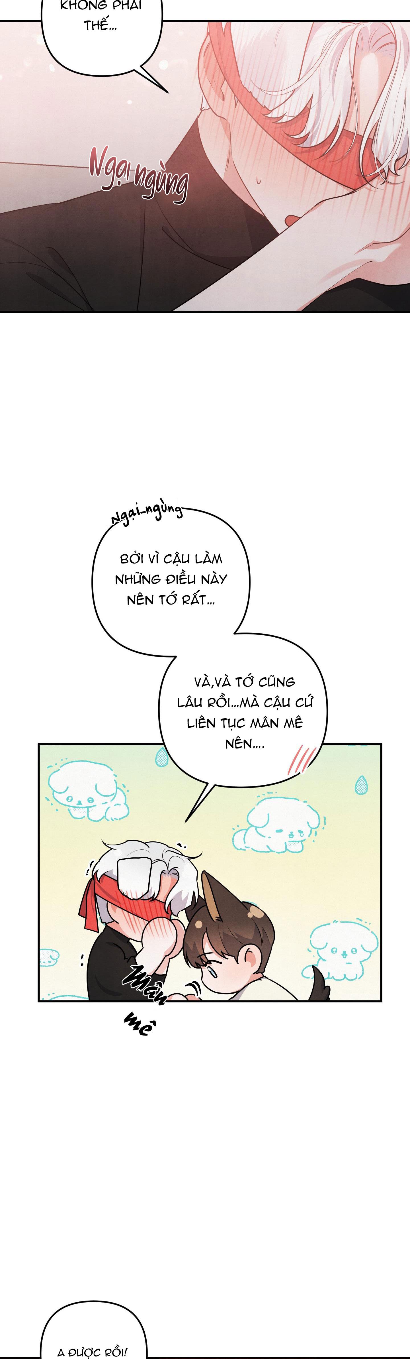 mối quan hệ ngu ngốc chapter 29 2