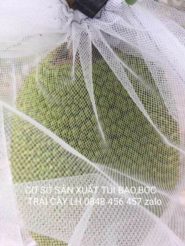 10 CÁI TÚI BAO ,BỌC MÍT THÁI LƯỚI TỐT KÍCH THƯỚC 50*70 -TÚI BAO,BỌC TRÁI CÂY