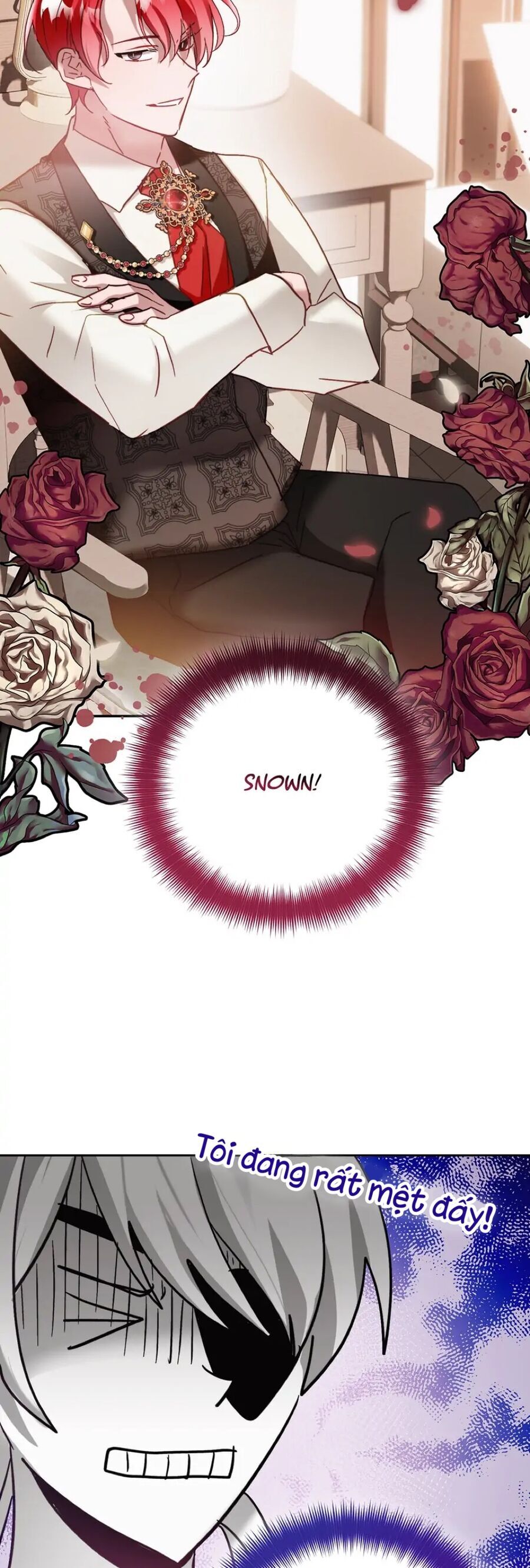 hoàng tử chuyển sinh trở thành người mạnh nhất thế giới nhờ vào sự hiểu biết về bug chapter 65 25