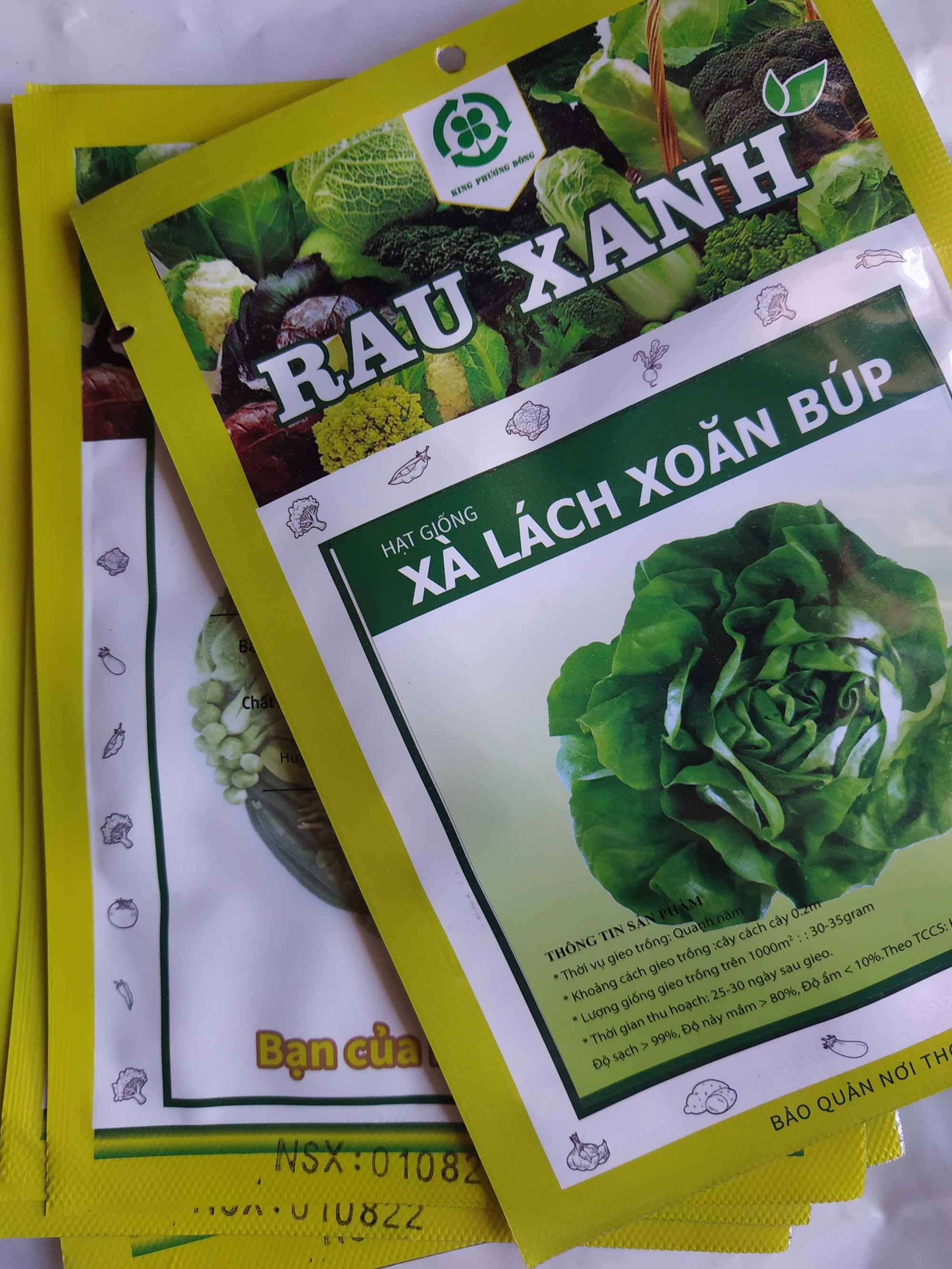Combo 5 gói Hạt giống XÀ LÁCH XOĂN BÚP - gói 2 gram