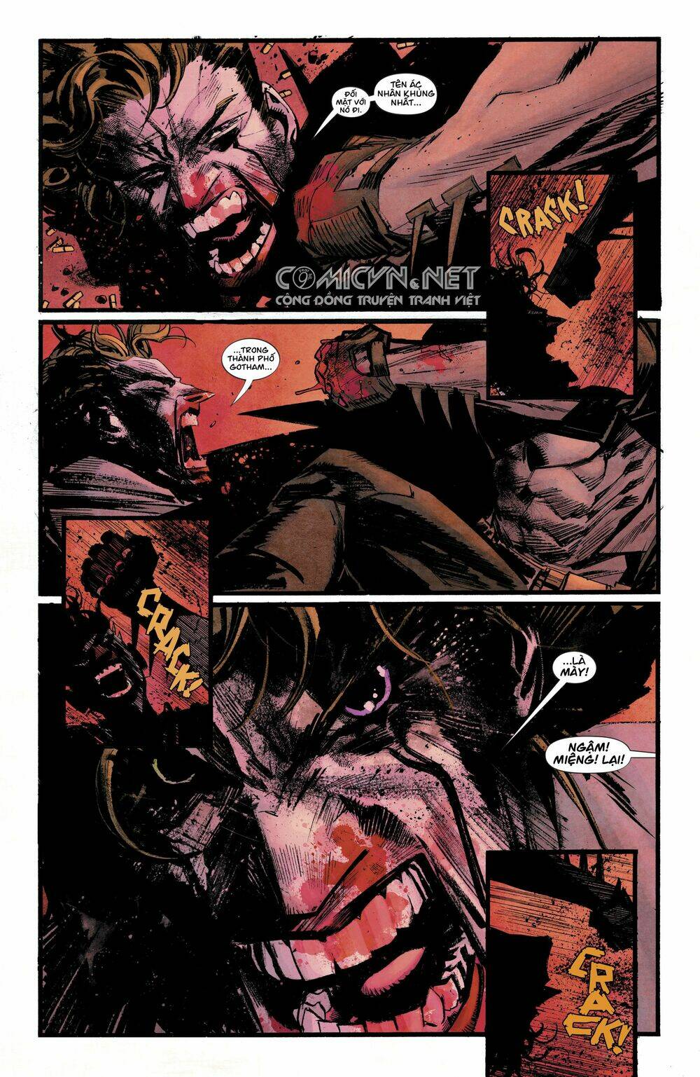 batman: white knight - hiệp sĩ minh bạch chapter 1.1 11