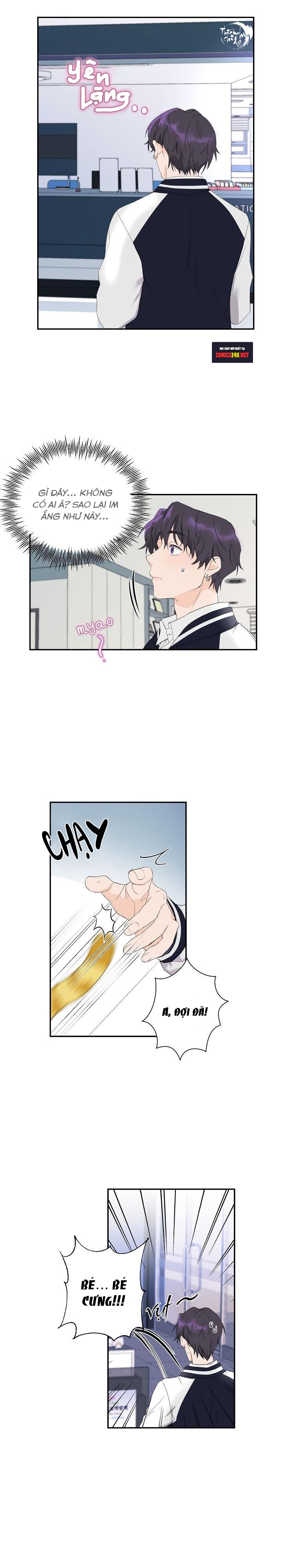 hoa ly hổ chapter 1 11