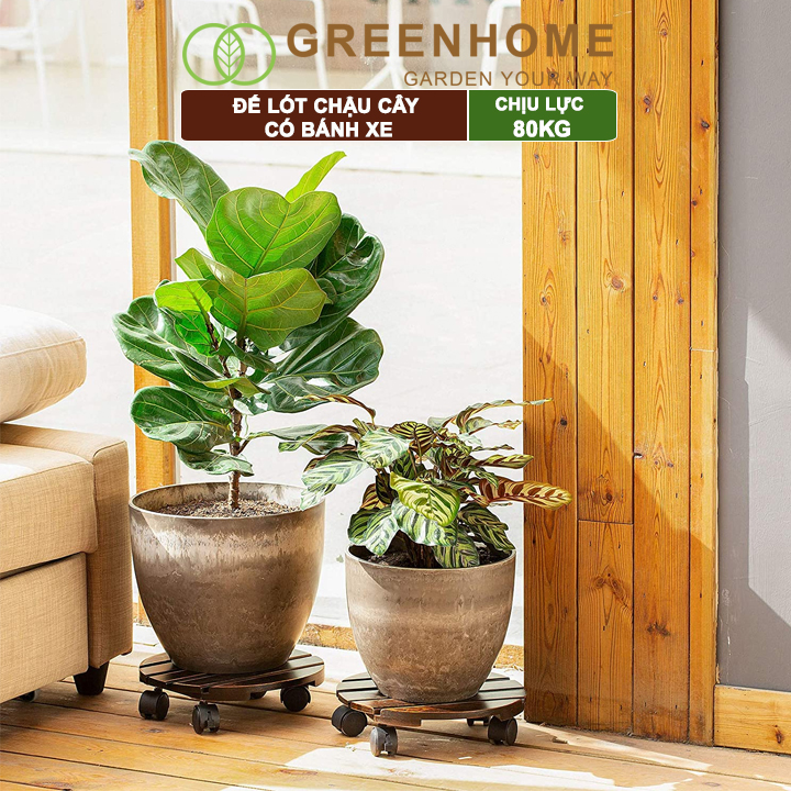 Đế lót chậu cây có bánh xe, bằng gỗ, chịu lực 80kg, R30xC8cm |Greenhome