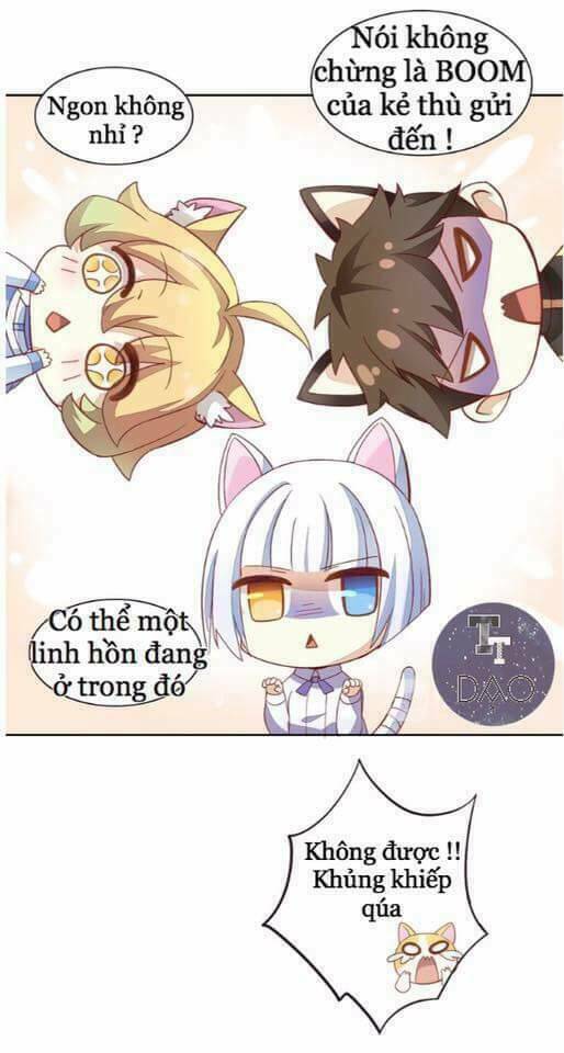 dưới móng vuốt mèo chapter 2 21