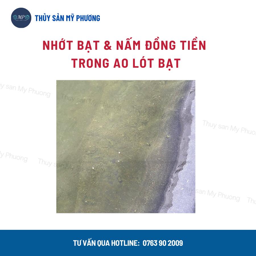 Men vi sinh nhập khẩu tẩy nhớt ao bạt cắt tảo diệt rong khí độc nấm Bzt Clear+ bể giống tôm thẻ cá lươn ếch ốc ba ba