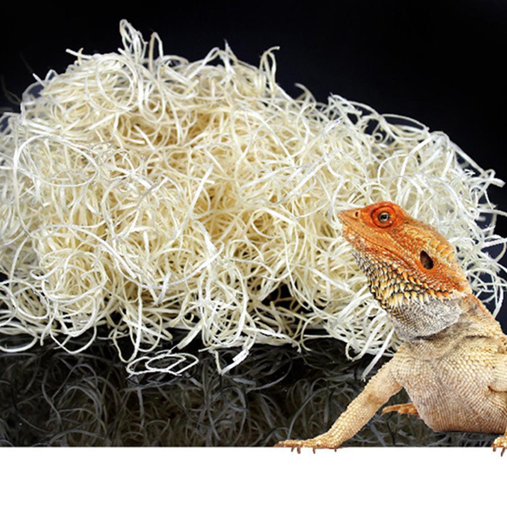 Terrarium Bedding Substrate Hideout for Snake Lizard Spider Reptile Flooring