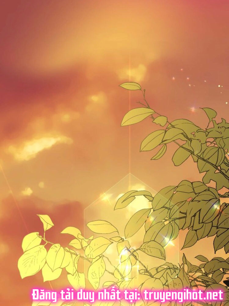 Dưới Bóng Cây Sồi Interview 40