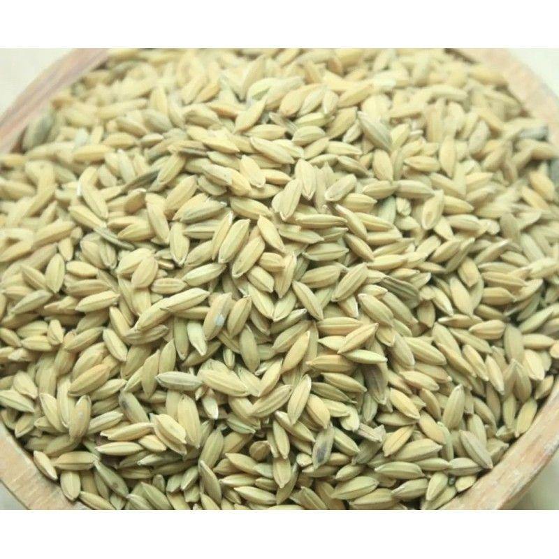 Thóc sạch cho gà,chim